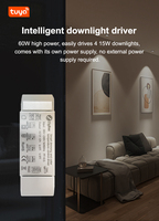 Driver Tuya Zigbee pour éclairage intelligent 36V, compatible avec les spots et downlights, avec variation de lumière de 2700K à 6000K, par Golden Security