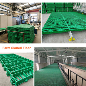 Pannelli in Plastica per Recinti di Pecore 60*60cm, Resistenti e Facili da Pulire, per Uso Agricolo e Allevamento - Product Image 3