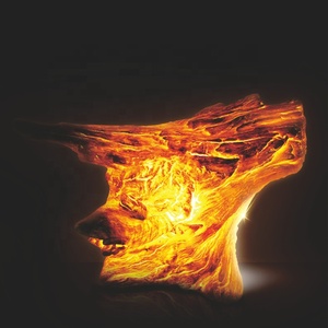 Wholesale FRP Outdoor Landscape Garden Holiday Decoration Led <strong>3d</strong> Motif <strong>Artificial</strong> Wooden Stump <strong>Tree</strong> <strong>Light</strong> - Product Image 5