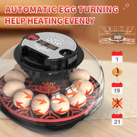 WONEGG Nouvelle Tendance Incubateur Solaire Automatique 12 Œufs avec Fenêtre Transparente à Dubaï Prix Compétitif