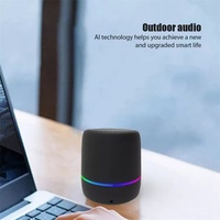 Mini Altavoz Portátil Inalámbrico con Luces LED RGB, 5W, Bajos Profundos, Batería para Teléfono/PC, Superventas