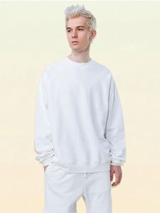 H5588 Factory Supply Wholesale Custom Heavyweight 460 Gsm 100% Cotton Sweatshirts Unisex Crewneck Sweatshirts - Product Image 3