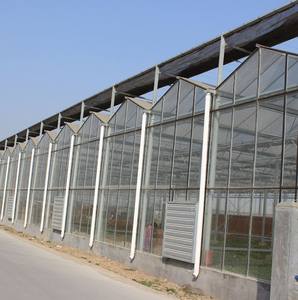 Ventes d'<span class=keywords><strong>occasion</strong></span> sur mesure en usine et serres agricoles à travées multiples avec structures en polycarbonate - Product Image 1