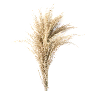 <span class=keywords><strong>Flores</strong></span> Secas de Yunnan, Cañas Pequeñas, Juego de Cañas, Madera de Caña, Suministros, Estilo Salvaje - Product Image 6