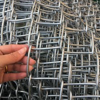 Rouleau de grillage galvanisé à mailles losangées pour clôture d'animaux de ferme et protection de jardin