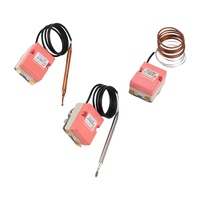 Remplacement de thermostat capillaire de contrôleur de température de 30 à 110 degrés Celsius pour thermostat de four