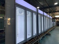 Холодильник Hola Display с охлаждением, стеклянной дверью, трехдверный, 250 литров, 32-50°F, без инея (No Frost)