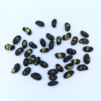 Grands Snacks de Soja Noir Premium Non Frits, Grillés au Goût Salin, pour Supermarchés et Détaillants Mondiaux