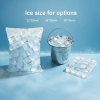 Distributeur automatique de glace en sacs commercial à écran tactile 32 pouces en libre-service avec options, acceptant les pièces, QR, jetons mobiles et intégration TPV