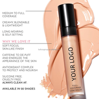 Anti-cernes liquide couvrant à 100 %, waterproof, correcteur de couleur naturelle 24h, pour cernes, tatouages et taches de rousseur (OEM/ODM)