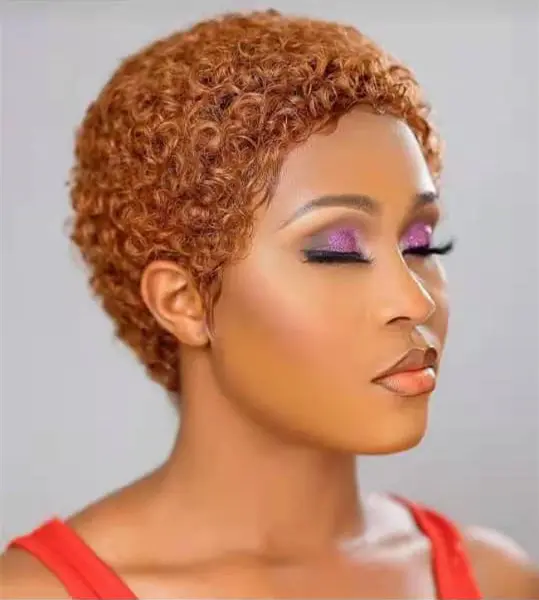 Cheap Pixie Curly Short Cut Wigs Wholesale Human Hair Weave Wigs Hot Selling Full Machine Made Non Lace Wigs