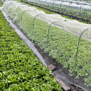 10-Pack Destacável Garden Hoops Netting 30 Clips DIY Crescer Túnel Camas levantadas Vegetal Planta Treliça Portões Metal Quadro Pressão - Product Image 5