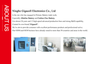 玩具用超重型电池AAA R03 UM-4尺寸Aaa碳锌干电池 - Product Image 2