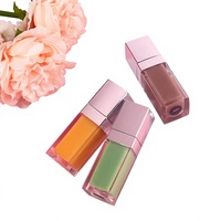 48-kleurige verzilverde vierkante lipgloss tubes met watermeloen- en aardbeiensmaak, hydraterend, met logo.
