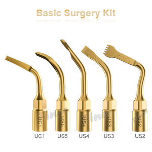 Puntas de cirugía piezoeléctrica Implante <span class=keywords><strong>dental</strong></span> Cirugía ósea Rinoplastia Puntas dentales Punta <span class=keywords><strong>dental</strong></span> Puntas de cirugía de implante <span class=keywords><strong>dental</strong></span> eléctrico - Product Image 5