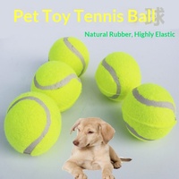 Jouet pour animaux de compagnie, balle de tennis en caoutchouc, micro-élasticité, balle interactive pour chien, balle d'entraînement, modèle CY2170-1, en stock, vente en gros