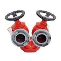 Hydrant d'incendie intérieur en fonte ductile rouge vertical pour équipement d'extincteur