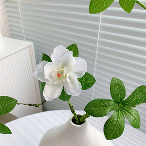 Fleur d'azalée artificielle Qingyu Chronicle, branche unique, fleur en soie blanche, décoration intérieure, ornement de bureau - Product Image 4