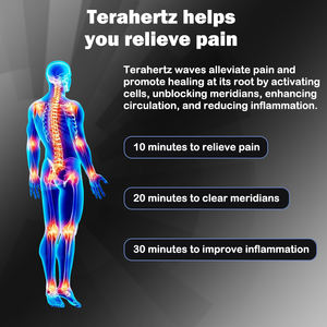 Tera hertz Gebläse gerät THZ Magnetische gesunde Physiotherapie Maschine Iteracare Relief Elektrische Tera hertz Therapie Gebläse Zauberstab 008 - Product Image 6