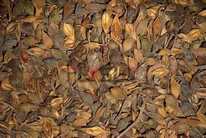 เครื่องเป่าใบงาใบแห้งเครื่องอบแห้งใบงาใบแห้งเครื่องอบแห้งใบงา - Product Image 4