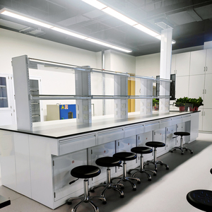 Banco da Laboratorio Moderno in Metallo con Armadietti Rimovibili, Superficie in Resina Epossidica Antigraffio e Resistente, Arredamento per Laboratorio - Product Image 2