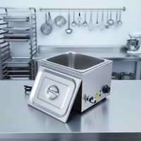 Bain-marie électrique professionnel en acier inoxydable pour comptoir, 1/2 GN x 15 cm, 600 W, 110 V/220 V