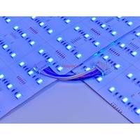Panneau LED Flexible SMD5050 WRGBW Parfait, 216 LED, 30W, DC24V, IRC>80, Angle de Faisceau 120°, IP20, Installation Facile, Idéal Hôtels