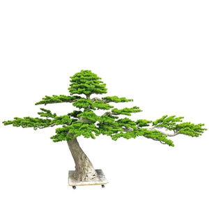 การจัดสวน & การจัดสวน & ตกแต่งบ้านหรือ<span class=keywords><strong>โรงแรม</strong></span> สํานักงาน ไม้สนไซเพรสกริฟ 180*280 ซม - Product Image 1