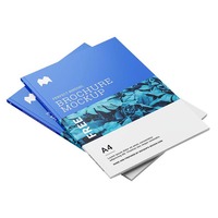Impression de brochures, de dépliants et de catalogues de produits en couleur avec reliure parfaite personnalisée, papier offset, gaufrage
