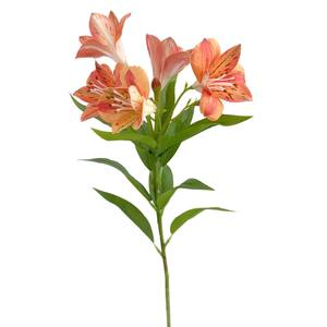 <span class=keywords><strong>Fleur</strong></span> d'alstroémeria artificielle 3D de haute qualité au toucher réaliste pour la décoration d'événements - Product Image 5