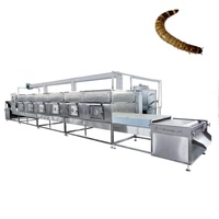 Tunnel meilleur prix Commercial fleur nourriture fruits légumes industriel en acier inoxydable micro-ondes Tunnel sèche-déshydrateur Machine