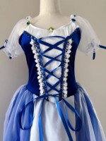 Usine professionnelle Giselle Ballet Tutu jupe filles bleu Royal romantique Ballet Costume scène danse porter femmes enfant adulte