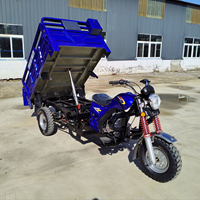 Hot <strong>Selling</strong> Fuel Gasoline Three Wheels <strong>Motorcycle</strong> Cheap Tricycle Passenger and Cargo Tricycle <strong>Motorcycle</strong> Fuel Gasoline