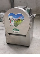 KR Coupe-Légumes Multifonction en Acier Inoxydable 220V, Machine à Couper les Légumes-Feuilles pour Pommes de Terre, Carottes, Persil, Épinards