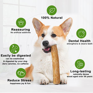 Personalizzato di fabbrica naturale durevole in legno di caffè cane bastone giocattolo interattivo denti puliti indistruttibile giocattolo per cani da masticare - Product Image 5