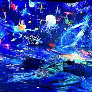 Salle de projection interactive pour les musées, les centres scientifiques, les galeries, les lieux culturels et les projets d'expérience multisensorielle - Product Image 1