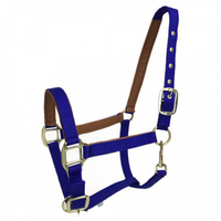 Vente en gros d'équitation Halter Premium Nylon Headstall de cheval Produits équins Cheval Halter Bridle Head Collar