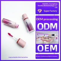 Gloss à lèvres mat anti-adhésif en marque blanche OEM/ODM de Chine pour un look naturel sans maquillage ; Usine de fabrication de maquillage sur mesure