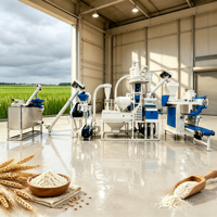 Ligne de production de farine de blé : Processus de mouture multi-grades pour la transformation du blé en farine fine, son et germe. OEM/ODM disponible.