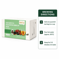 Thé bien-être à base de plantes, thé blanc vieilli, Reishi, Polygonatum Sibiricum, sans additif, étiquette nette, directement de l'usine
