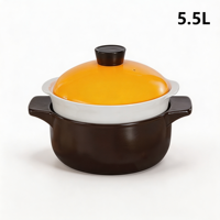 Casserole vapeur en céramique 2 niveaux 5,5 L, revêtement alimentaire, fond plat, compatible gaz, ensemble de cuisson 2-en-1 pour ragoûts, passe au lave-vaisselle