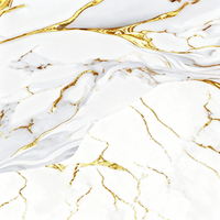 Carrelage en Porcelaine Glacée Effet Marbre Poli 600x600mm Anti-Dérapant – Meilleures Ventes