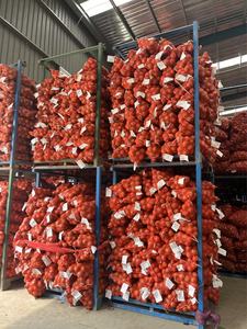 Nova Colheita Fresca Cebolas Amarelas 20kg Exportação Da China Cebolas Vermelhas e Cebolas Melhor Preço Por Tonelada - Product Image 3