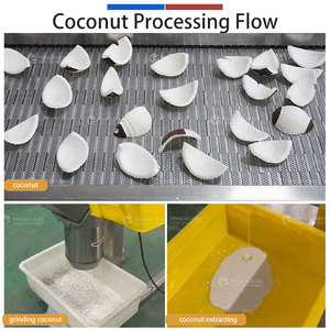 Medium Scale Coconut Milk Processing Line Coconut Peeling, Washing, Grinding and Milk Extracting Machine - Product Image 5