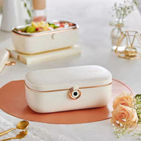 Boîte à lunch électrique Sorge, chauffe-aliments, 900 ml, pot intérieur en acier inoxydable, boîtier en plastique, usage domestique, 45 W, 220 V, CE, ROHS, CCC