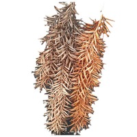 Plante artificielle suspendue murale, vigne en plastique, feuilles, décoration de scène de mariage, plantes suspendues au plafond, 108 cm, écologique