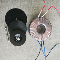 Transformateur toroïdal personnalisé 300VA 300W Entrée 110V 220V 230V Sortie 12V 18V 24V 26V 28V 45V pour alimentation Amplificateur audio
