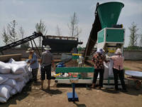 Mortier microbien bentonite 50kg 30kg 25 kg Ensacheuse de compost Ensacheuse de sol Emballage d'engrais organique