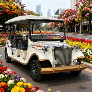 Vintage 11-Seater Electric Sightseeing Car Hotel Reception Bus for Passenger Tourist Classic Car Electric Sightseeing Car - Product Image 1