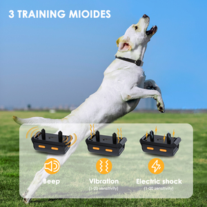 <span class=keywords><strong>Collar</strong></span> de Adiestramiento para Perros <span class=keywords><strong>2026</strong></span>, Ecológico, de Plástico, con Control Remoto de Largo Alcance, Impermeable IP67, para Corregir Comportamiento Malo - Product Image 2